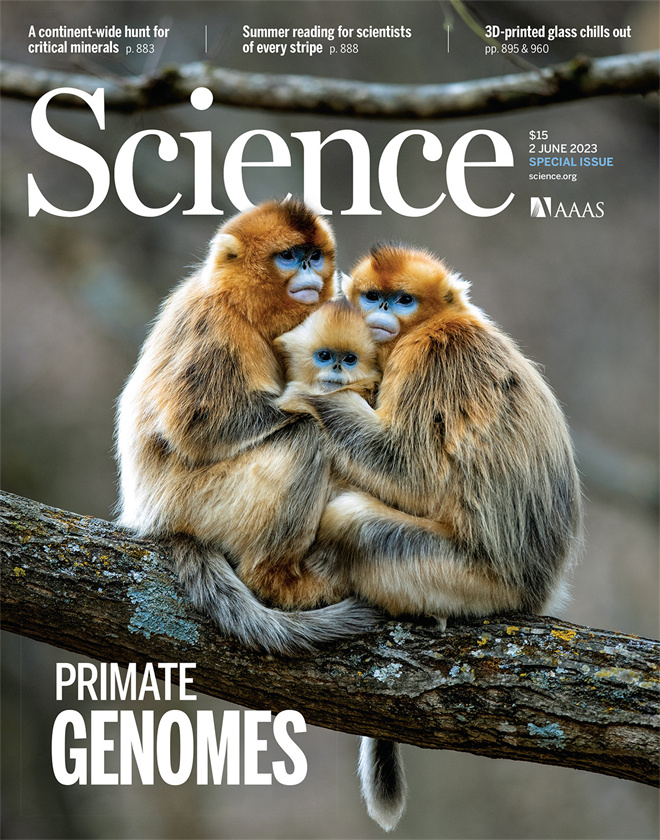 Science封面文章:威尼斯432888cam金丝猴研究团队首次系统揭示灵长类社会演化之谜_fororder_《自然》封面.JPG