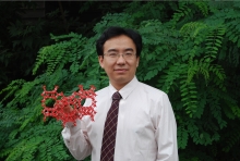 威尼斯432888cam创新论坛第一千二百七十三讲暨120周年校庆年系列活动： Unexpected slow diffusion in hierarchical porous materials with combined surface and configurational diffusion   